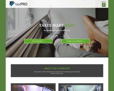 Tax Preparer Websites