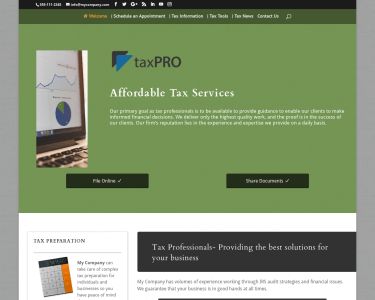 Tax Preparer Websites