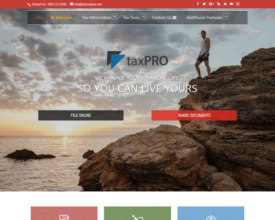Tax Preparer Websites